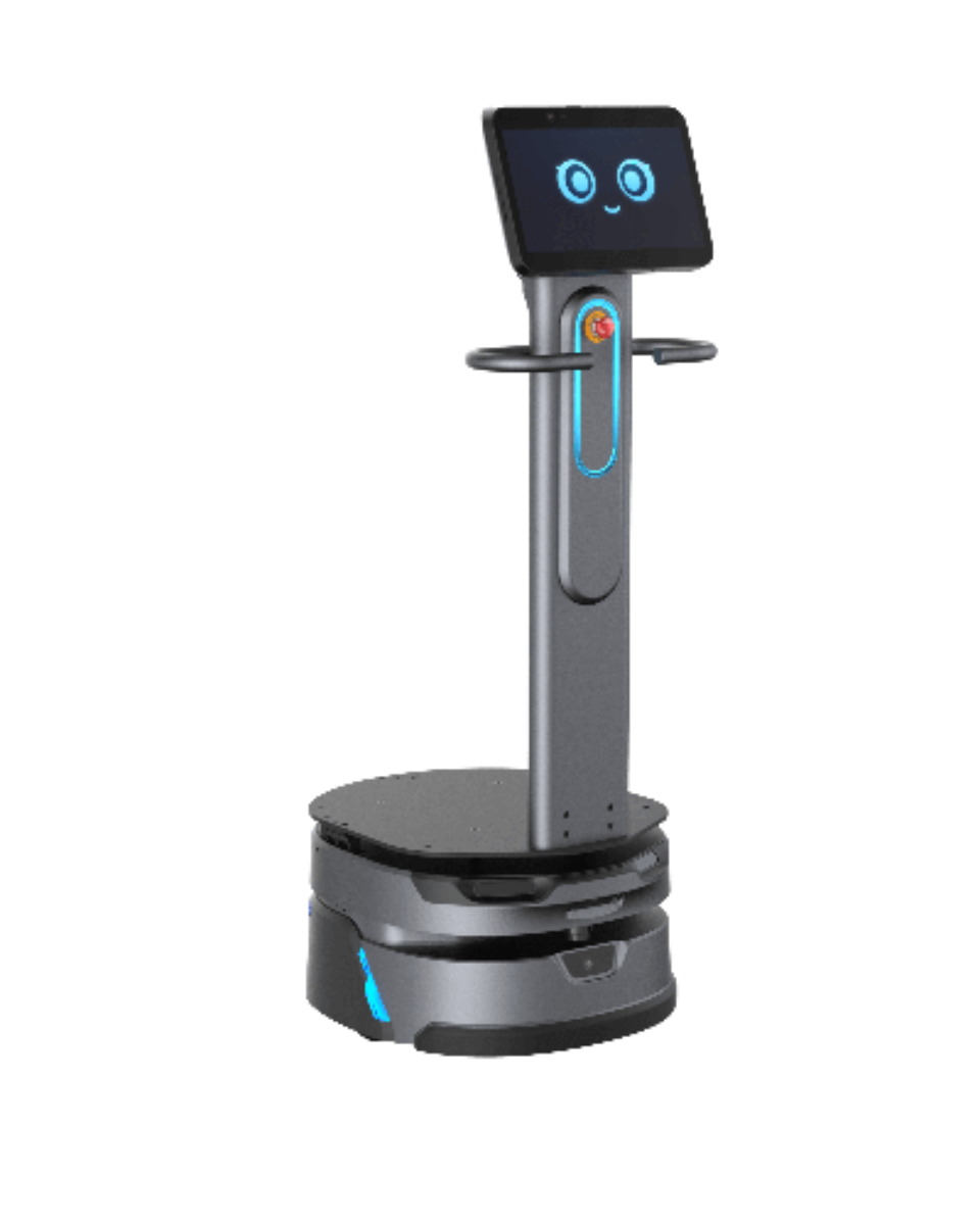 orionstar-carrybot