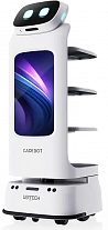 Ubtech Cadebot L100