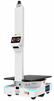 Reeman Iron