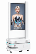 Reeman 43-Inch Dual-Screen