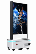 Reeman AI Digital Human Transparency Screen Robot